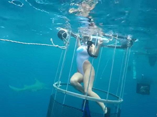 YouTube ВИДЕО: акула покусала известную порнозвезду на съемках во Флориде