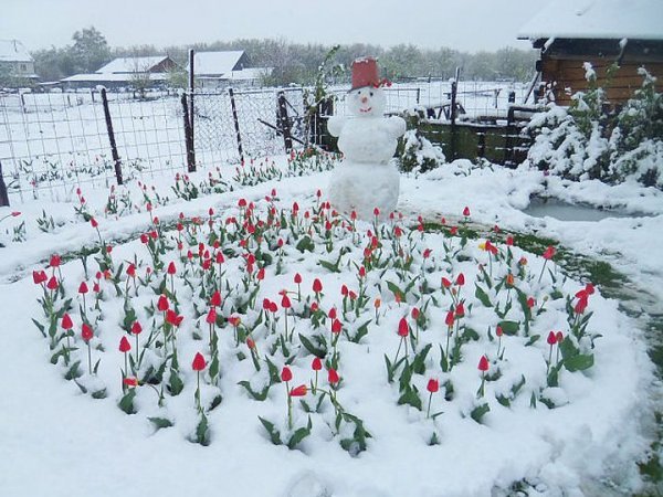 Конспирологи назвали неожиданные причины аномально холодных весны и лета 201