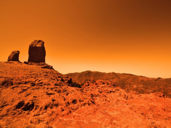 Ученые: на Марсе долгое время существовала жизнь