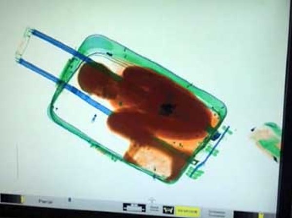 После отмены виз в ЕС украинка попыталась ввезти сына в Польшу в чемодане