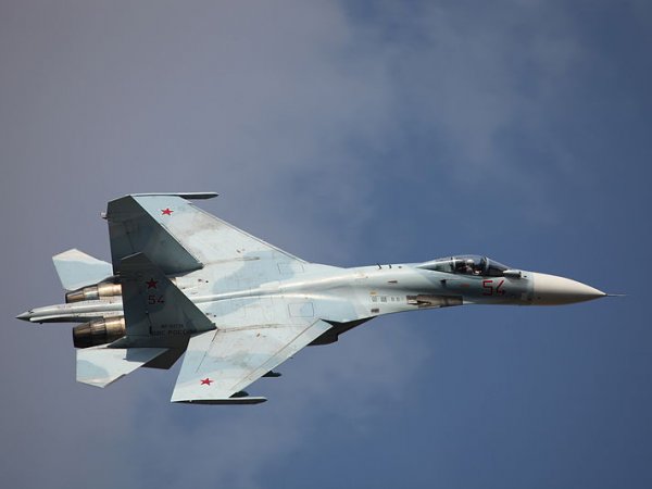 Российский Су-27 "отогнал" истребитель НАТО от самолета Шойгу
