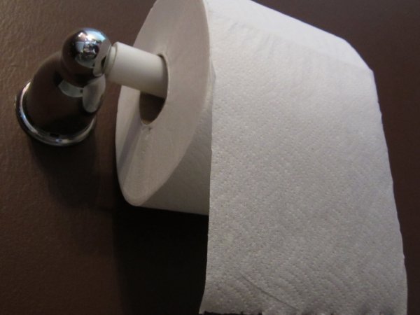 "Кража века": российские туристы пытались украсть 14 рулонов туалетной бумаги в Турции