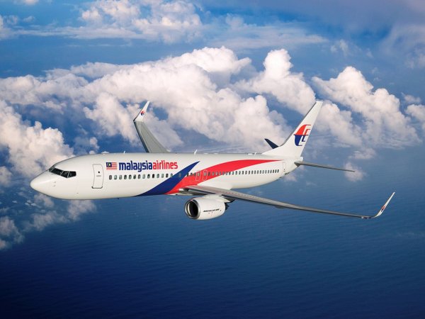 Россиянин заявил, что обнаружил пропавший малайзийский Boeing MH-370 (ФОТО)