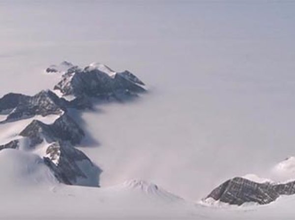 Самый большой в истории айсберг откололся от Антарктиды