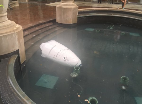 В США робот-охранник утонул в фонтане (ФОТО)