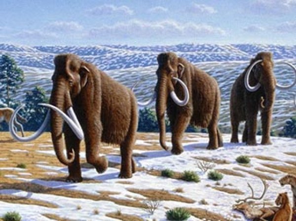 Геологи раскрыли загадку величайшего массового вымирания животных на Земле