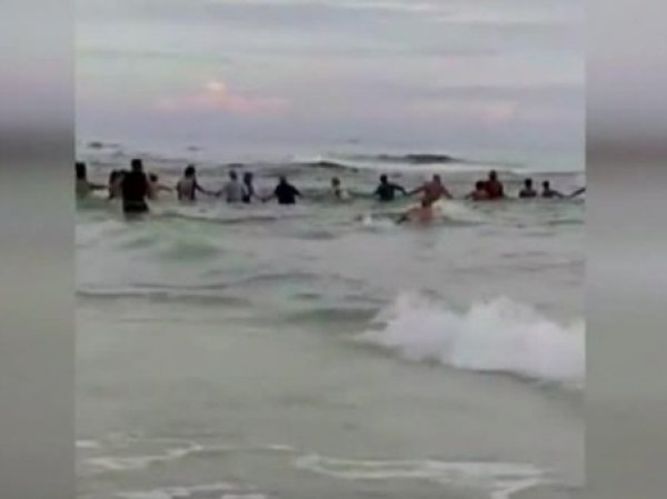 Во Флориде "живая цепь" из 80 человек спасла утопающих (ВИДЕО)