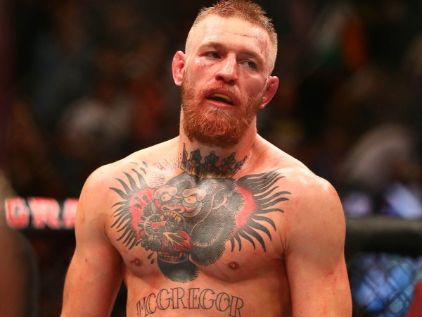 СМИ: чемпион UFC Макгрегор проиграл нокаутом в спарринге по правилам бокса