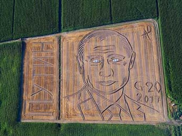 В Италии фермер трактором "нарисовал" на поле огромный портрет Путина (ВИДЕО)