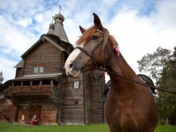 Какой сегодня праздник: 31 августа 2017 отмечается церковный праздник Фрол и Лавер — лошадники