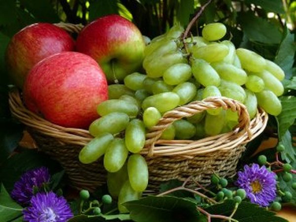Какой сегодня праздник: 19 августа отмечается церковный праздник Яблочный Спас