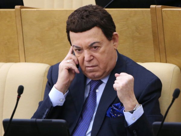 "Сам бы его уничтожил": Кобзон навел СМИ на засекреченный дом Януковича — опубликованы ФОТО