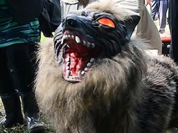 В Японии фермеры запустили чудовищного робоволка для охраны сельхозугодий (ВИДЕО)