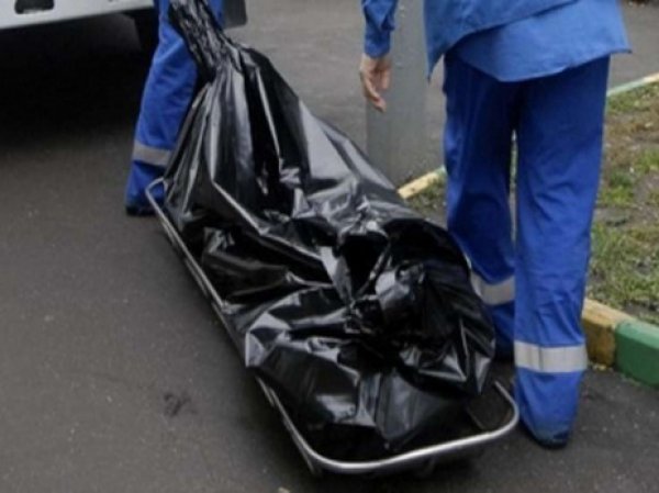У Москвы-реки обнаружили две коробки и 10 пакетов с человеческими останками