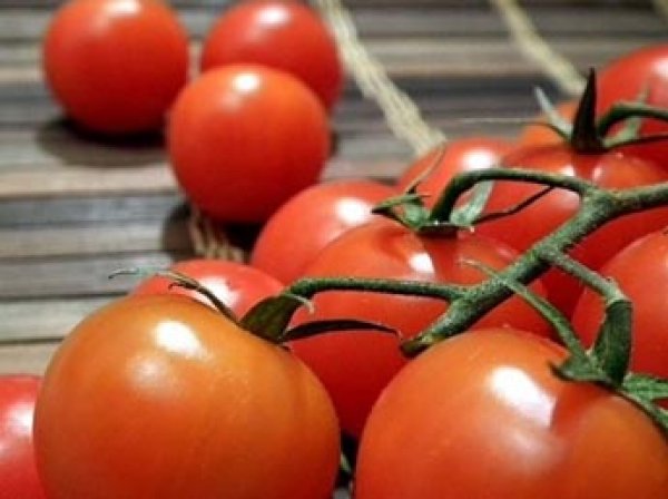 Турция пригрозила России ответными мерами на запрет ввода томатов