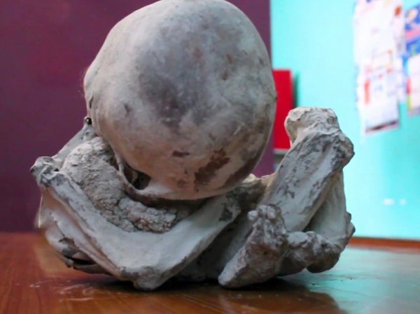 "Младенец пришельца" из пустыни Наска поставил ученых в тупик (ФОТО, ВИДЕО)
