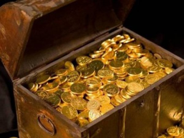 В Амурской области 6-летний ребенок нашел золотой клад в лесу, сходив в туалет