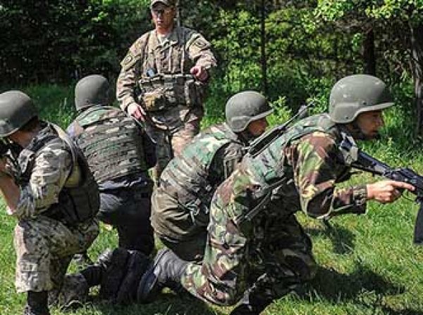 "Моська против слона": в Госдуме высмеяли военные учения Украины