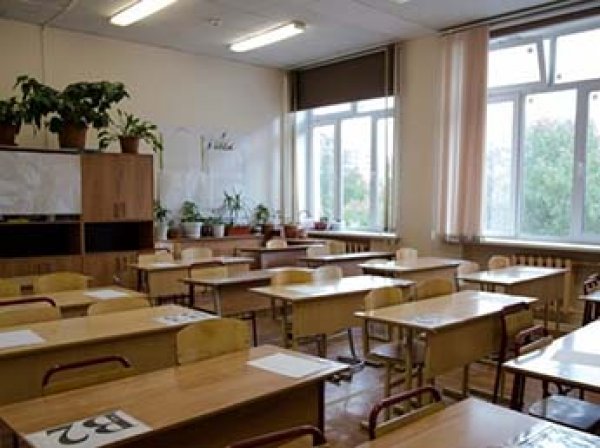 В Петербурге со скандалом уволили учительницу, написавшую "дурак" на лбу школьника