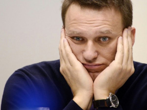 В "Домодедово" на Навального повесили связку сарделек