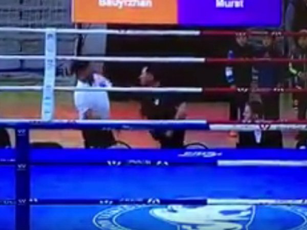 Опубликовано видео драки между тренером и судьей после матча Кубка федерации бокса Казахстана