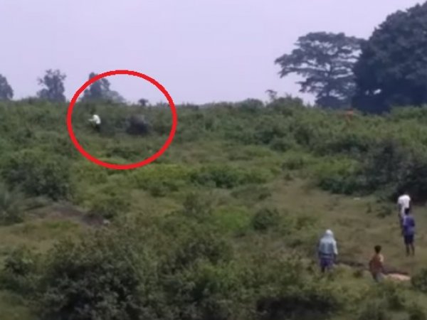 На YouTube появилось видео, как в Индии слон до смерти затоптал любителя селфи