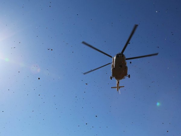 В Таджикистане глава аэропорта погиб из-за порыва ветра от президентского вертолета