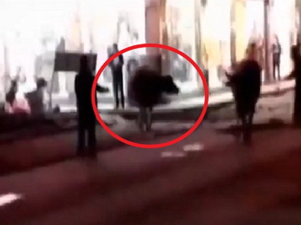 YouTube ВИДЕО: в Китае разъяренный буйвол покалечил покупателей магазина