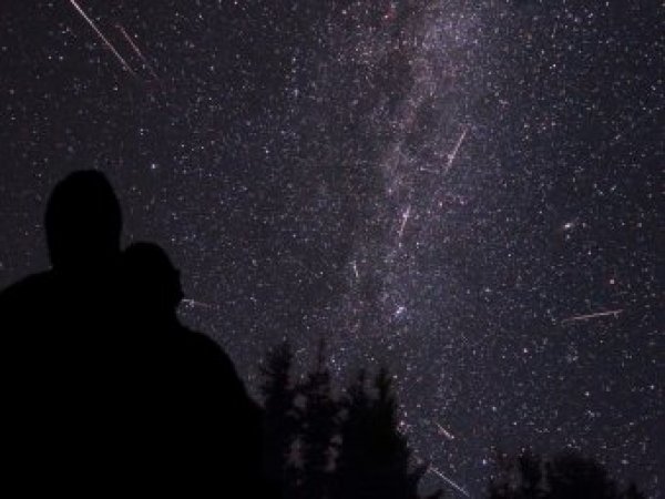 Звездопад Ориониды жители Земли увидят в ночь на 21 октября 2017 года