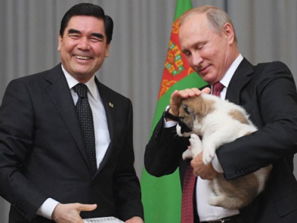 Туркменский президент подарил Путину щенка алабая