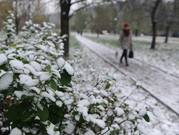 Синоптики рассказали, когда в Москве выпадет первый снег