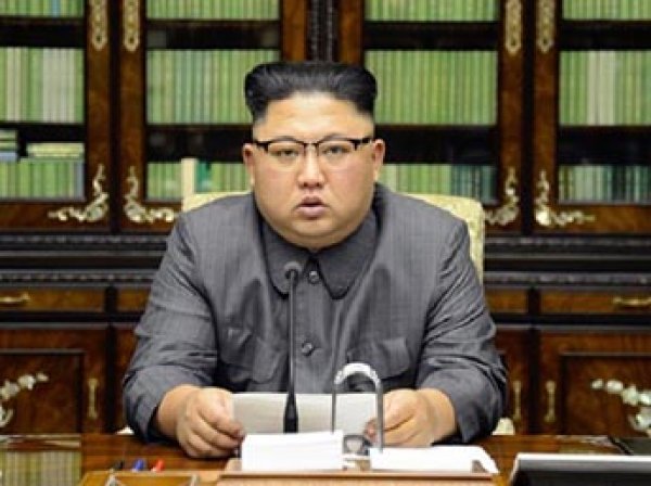 На соевом поле в Италии появился огромный портрет Ким Чен Ына