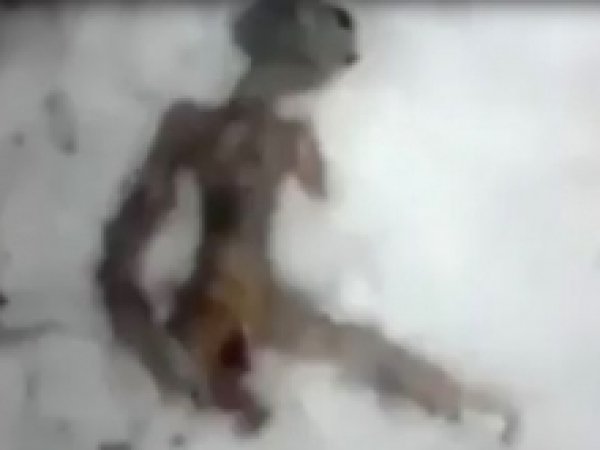 На YouTube появилось ВИДЕО найденной в Иркутске "мумии пришельца"