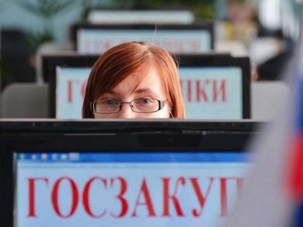 Активисты выявили 925 случаев коррупции при госзакупках на 263 млрд рублей