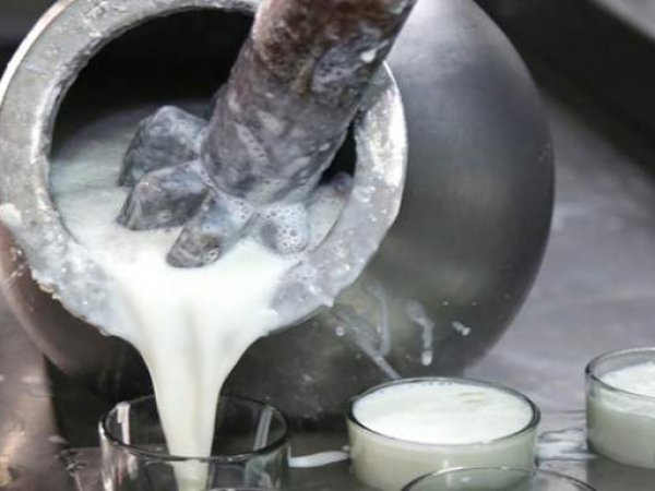 Насильно выданная замуж пакистанка отравила молоком 15 родственников