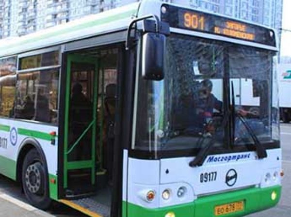 Глава МВД: водителей автобусов и фур обяжут сдавать дополнительные экзамены