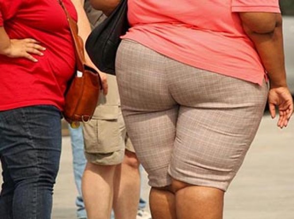 Ученые раскрыли истинную причину ожирения