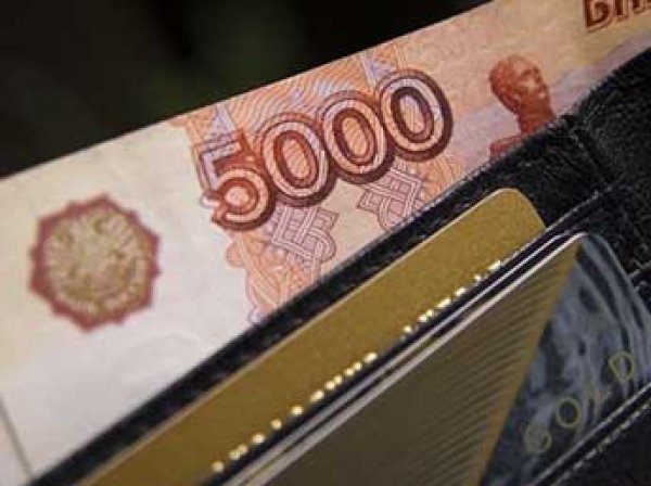ВЦИОМ: каждый второй житель России имеет непогашенный кредит