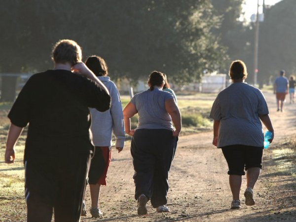 СМИ сообщили о росте числа россиян с ожирением
