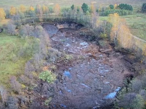 Во Владимирской области большое лесное озеро внезапно ушло под землю