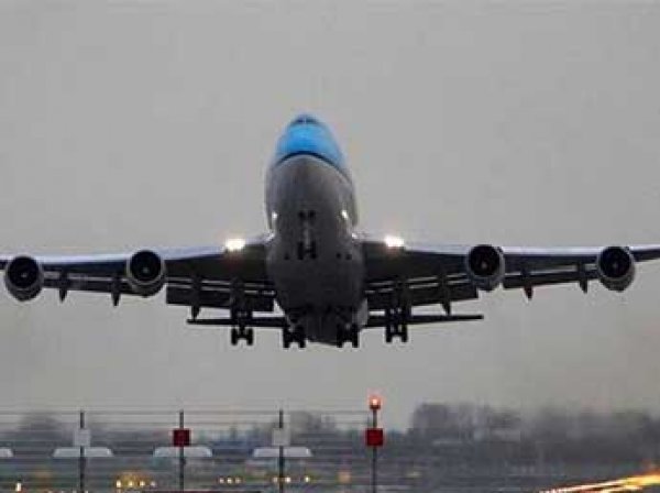 СМИ: египетский самолет чудом не разбился при посадке в Домодедово