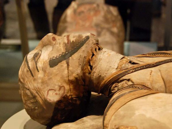 Ученые обнаружили рак у древнеегипетской мумии