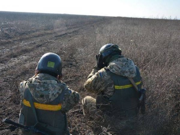 Пограничники рассказали, почему украинский военный попросил убежища в России