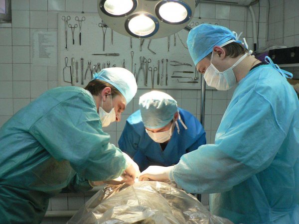 В Бурятии хирурги вытащили из желудка пенсионерки десятки гвоздей, шурупов, шпингалеты и серебряную цепочку