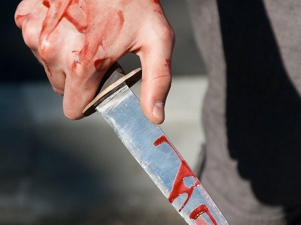 В Петербурге во время дорожного конфликта водителя автобуса с детьми ударили ножом