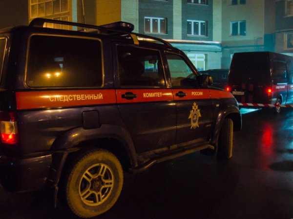 В Красноярске онкобольная школьница скончалась после драки с одноклассницами