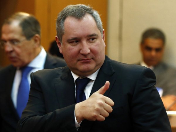 Рогозин заберет себе пережившую "утопление" таксу
