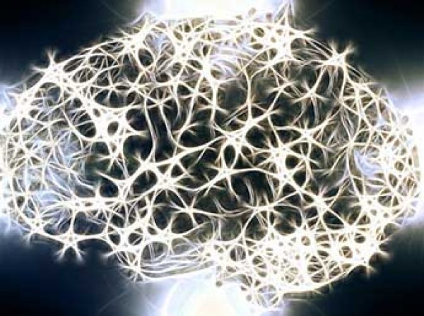 Ученые показали на видео, как движутся мысли в мозге человека