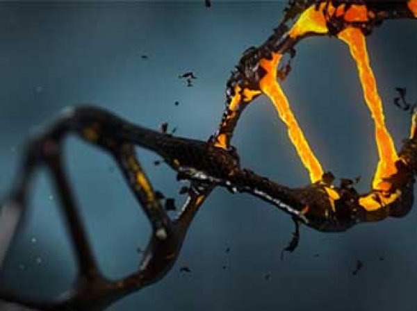 Ученые сумели "оживить" геном человека, умершего в 1827 году