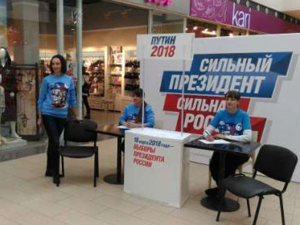В российских городах стартовал сбор подписей в поддержку самовыдвижения Путина